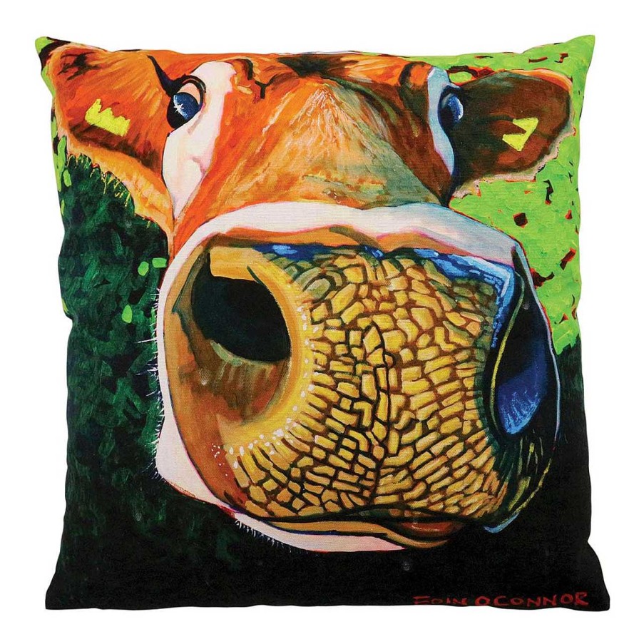 Homeware Eoin O Connor Cushions | Eoin O'Connor "Reach For The Stars" Cushion