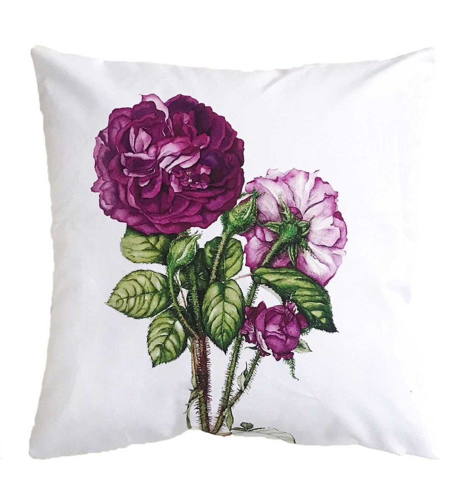 Homeware Tipperary Crystal Photo Frames | Botanical Studio Moss Rose Cushion