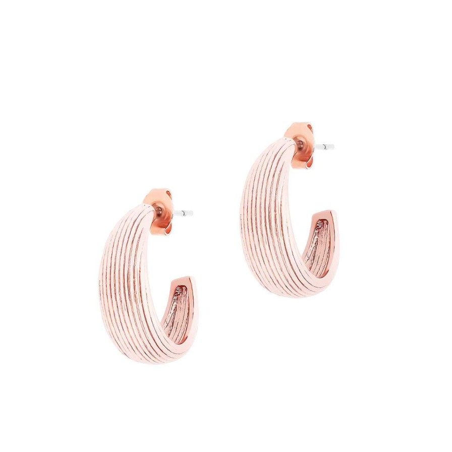 Jewellery Tipperary Crystal Candles | Tc Hoop Shell Earrings Rose Gold