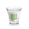 Homeware Tipperary Crystal | Gooseberry Filled Tumbler Glass