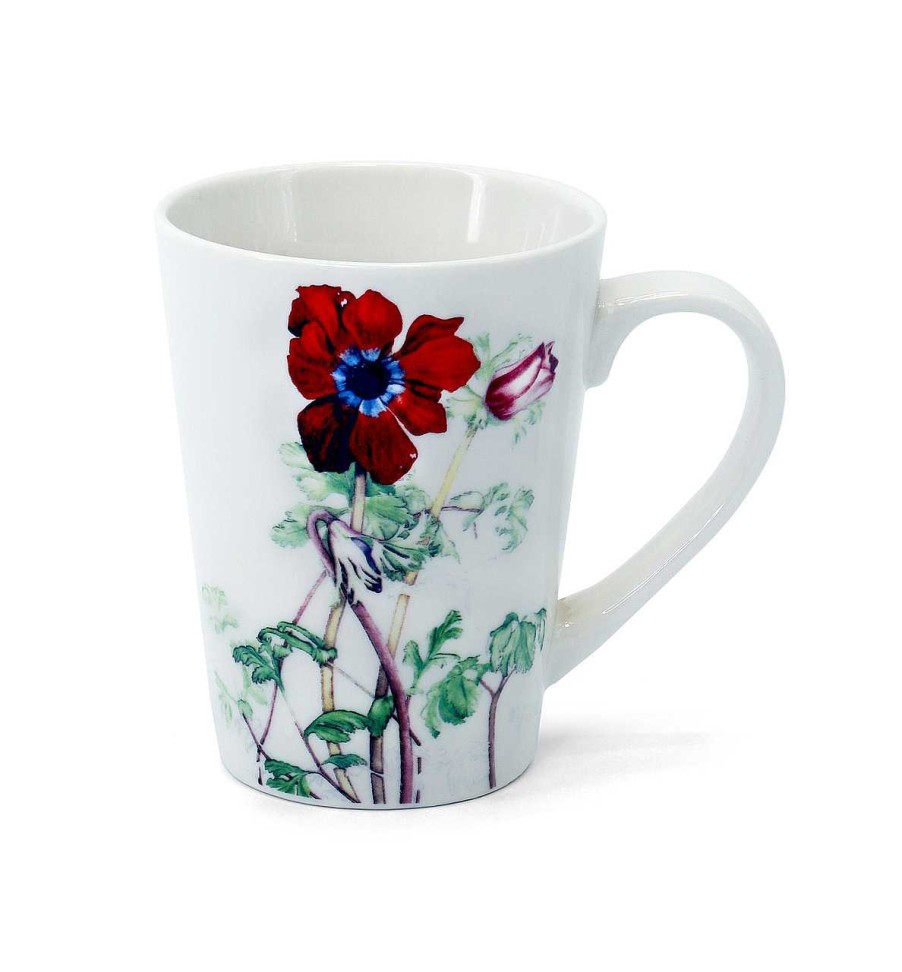 Homeware Tipperary Crystal Mugs | Botanical Studio - Anemone Mug